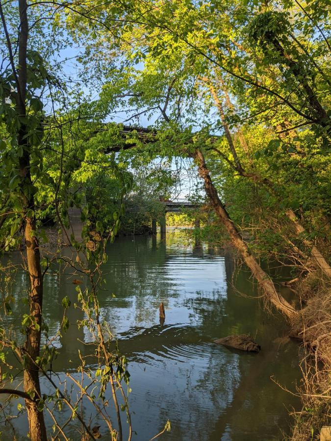 Celina Cabin Nature Cabin Near Downtown Chattanooga Ngoại thất bức ảnh